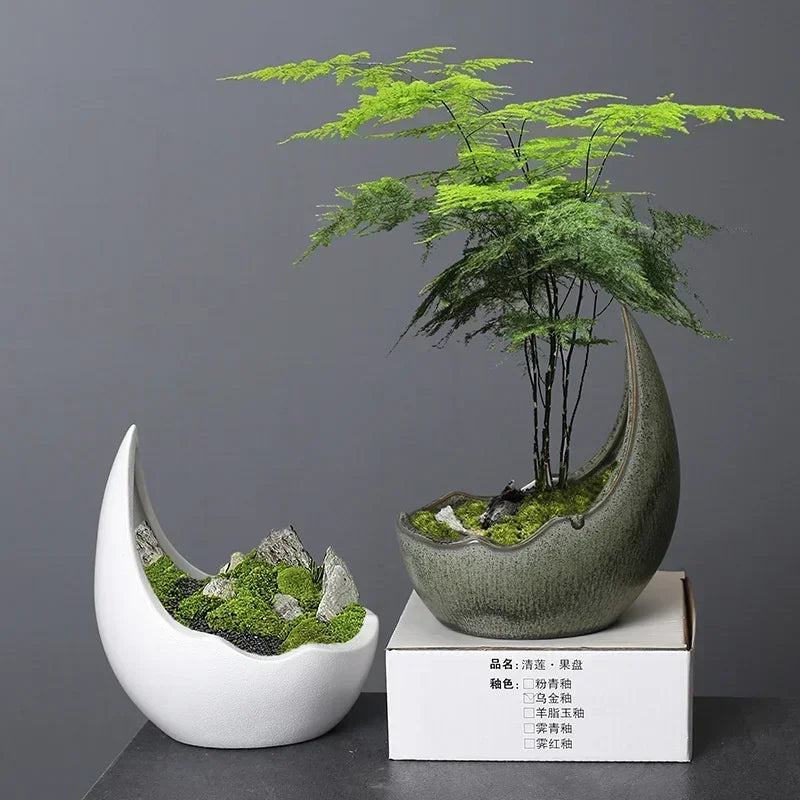 Rhinoceros Horn Shape Ceramic Flower Pot