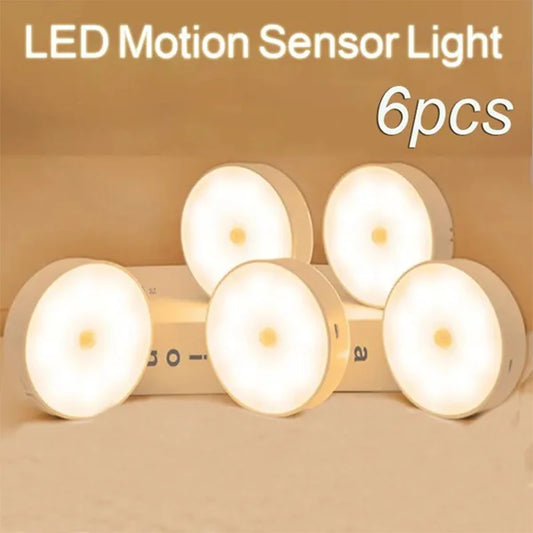 LED Motion Sensor Light