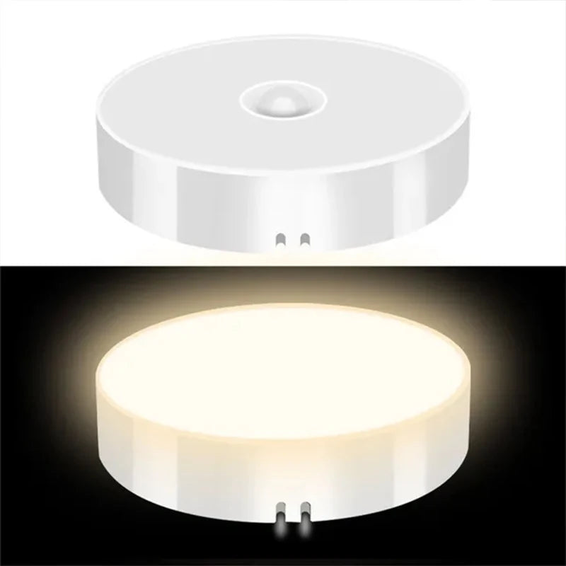 LED Motion Sensor Light