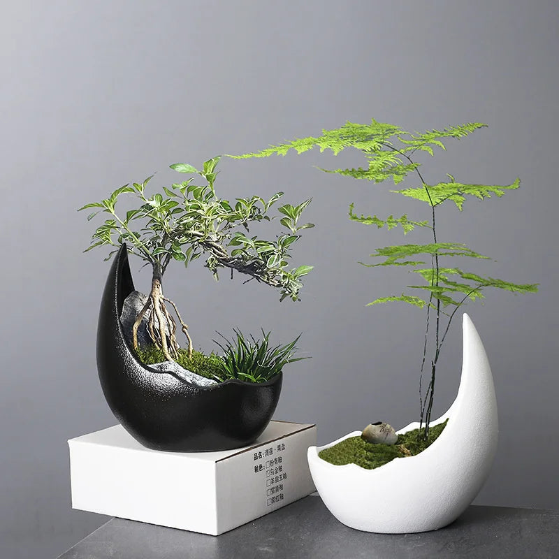 Rhinoceros Horn Shape Ceramic Flower Pot