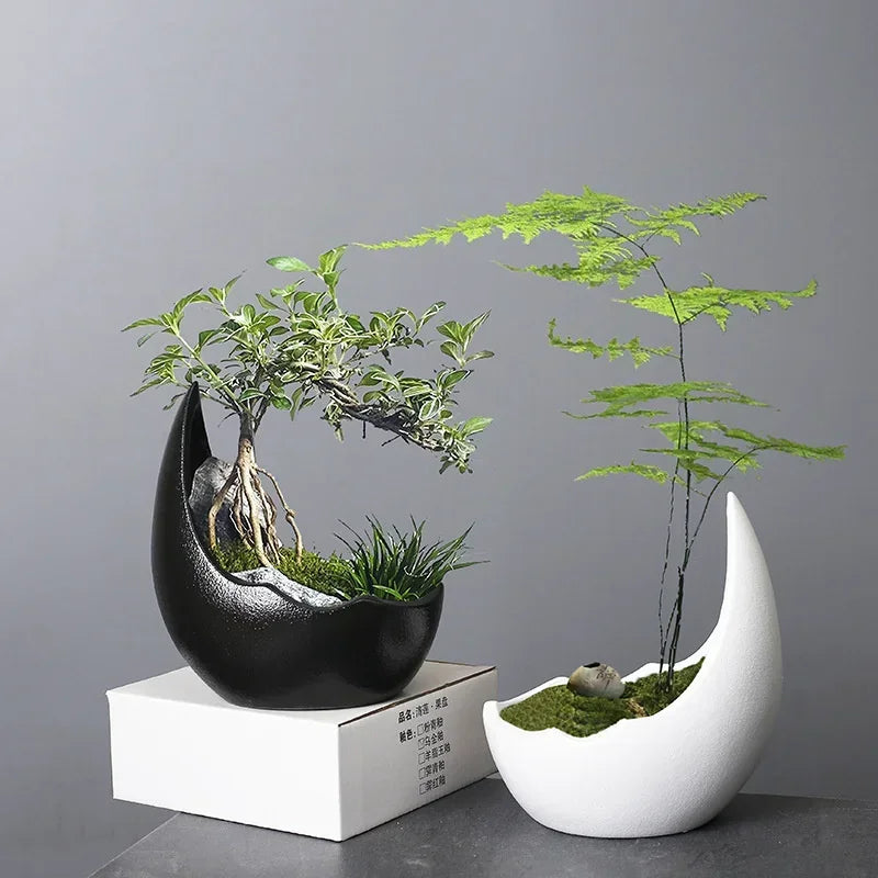 Plants