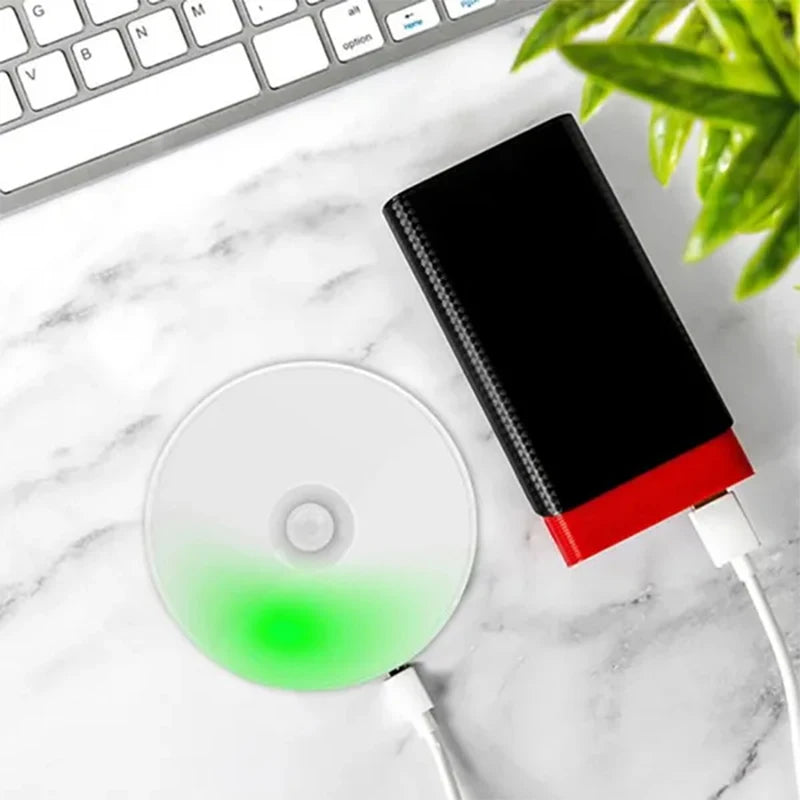 LED Motion Sensor Light