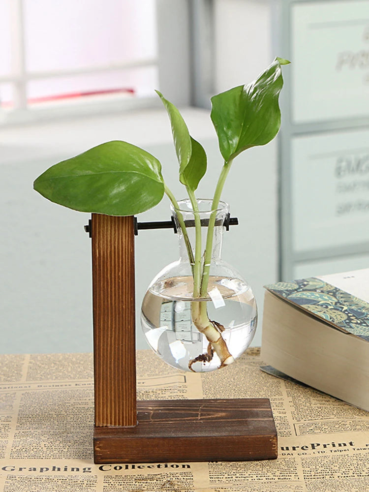 Wooden Frame Hydroponic Vase