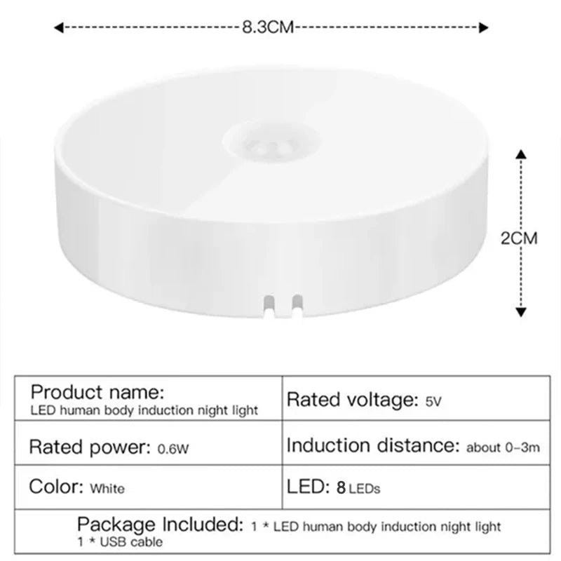 LED Motion Sensor Light