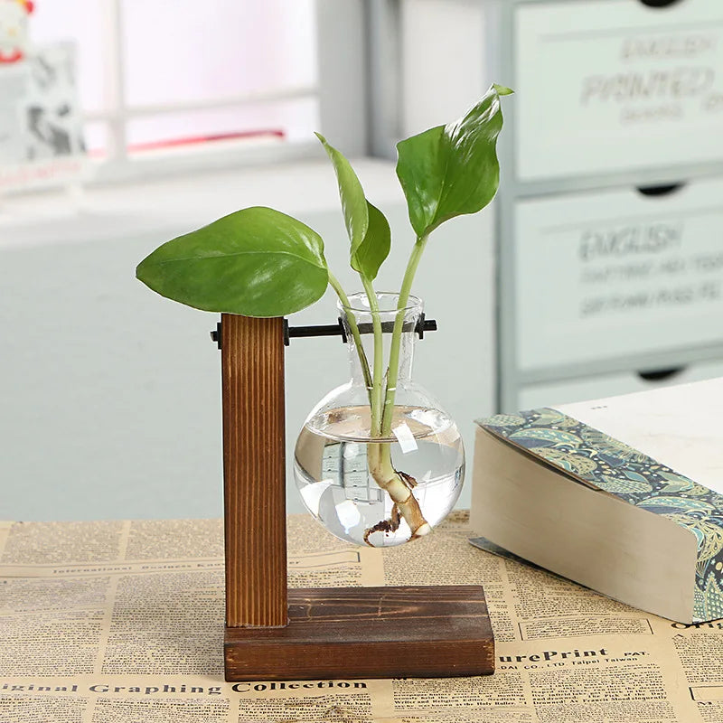 Wooden Frame Hydroponic Vase